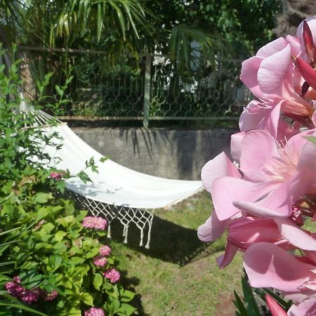 Rose Apartments Icici Phòng bức ảnh